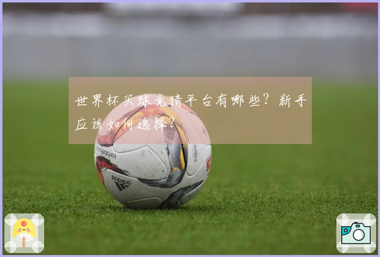 世界杯买球竞猜平台有哪些？新手应该如何选择？