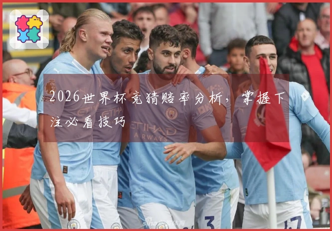 2026世界杯竞猜赔率分析，掌握下注必看技巧