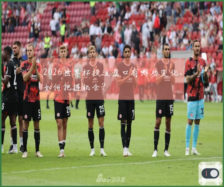 2026世界杯投注盘口有哪些变化，如何把握机会？