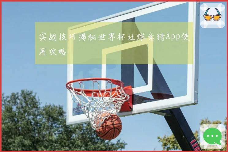 实战技巧揭秘世界杯让球竞猜App使用攻略