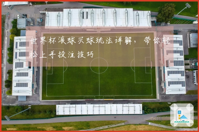 世界杯滚球买球玩法详解，带你轻松上手投注技巧